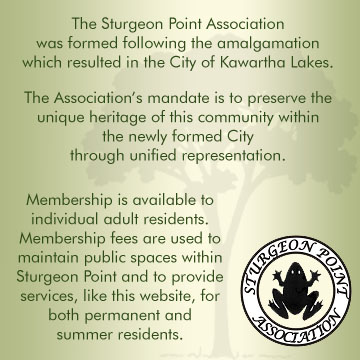 SPA Description