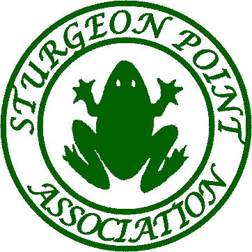 SPA Frog Graphic Green Only SPA Frog Graphic Green Only