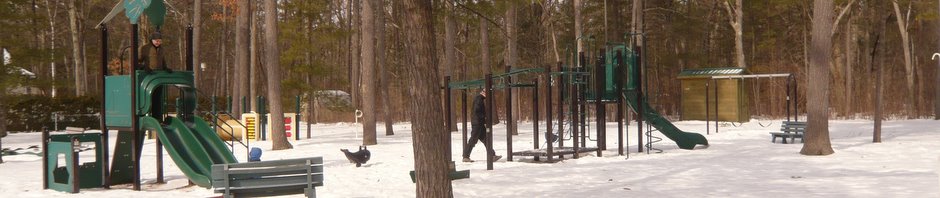 park